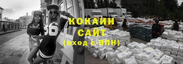 шишки Верея