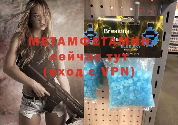 шишки Верея