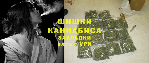 шишки Верея
