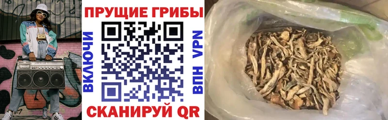 Галлюциногенные грибы Cubensis  кракен ссылки  Закаменск  хочу  