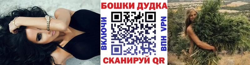 Бошки марихуана MAZAR  где найти наркотики  Закаменск 